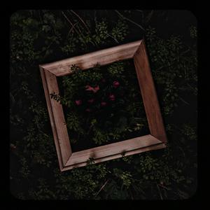 xxxxxx国产精品视频
